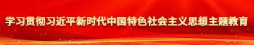 嗯...啊扣骚逼学习贯彻习近平新时代中国特色社会主义思想主题教育